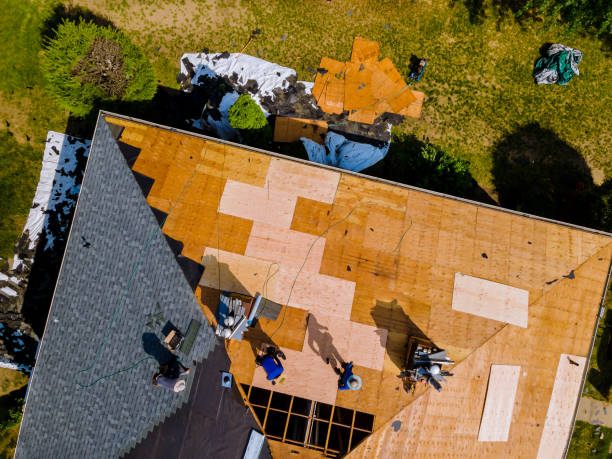 Roof Gutter Cleaning in Etna, PA